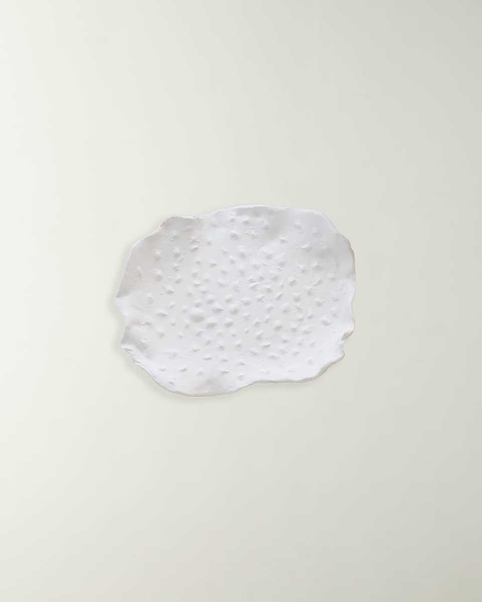 Maitake Dotted Wall Decor